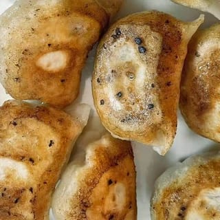 白菜猪肉锅贴 Cabbage & Pork Pot Sticker (8)