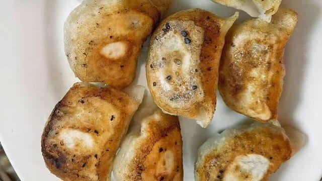 白菜猪肉锅贴 Cabbage & Pork Pot Sticker (8).